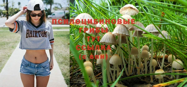 PSILOCYBIN Белоозёрский