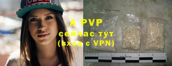 круглые Белокуриха