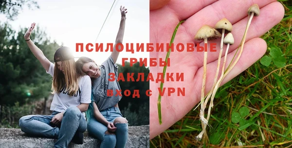 гашик Беломорск