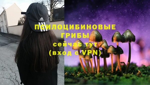 круглые Белокуриха