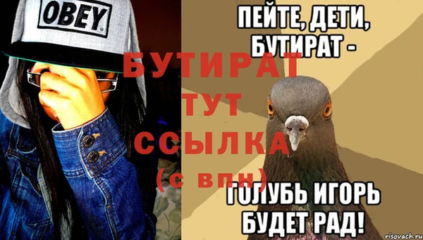 шишки Сясьстрой