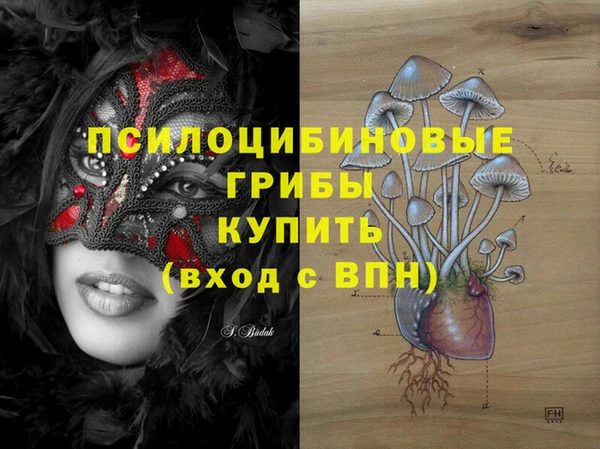 гашик Беломорск