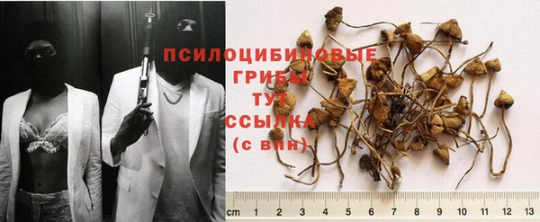 PSILOCYBIN Белоозёрский