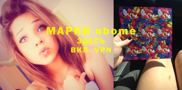 дмт Тавда