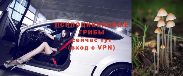 гашик Беломорск